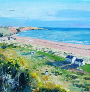 bothy shadows st cyrus web